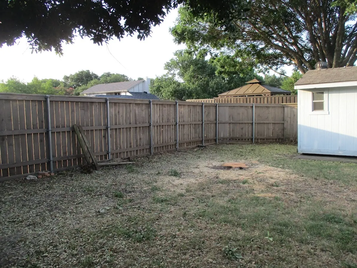 Cleared yard after professional tree removal in Santa Elena